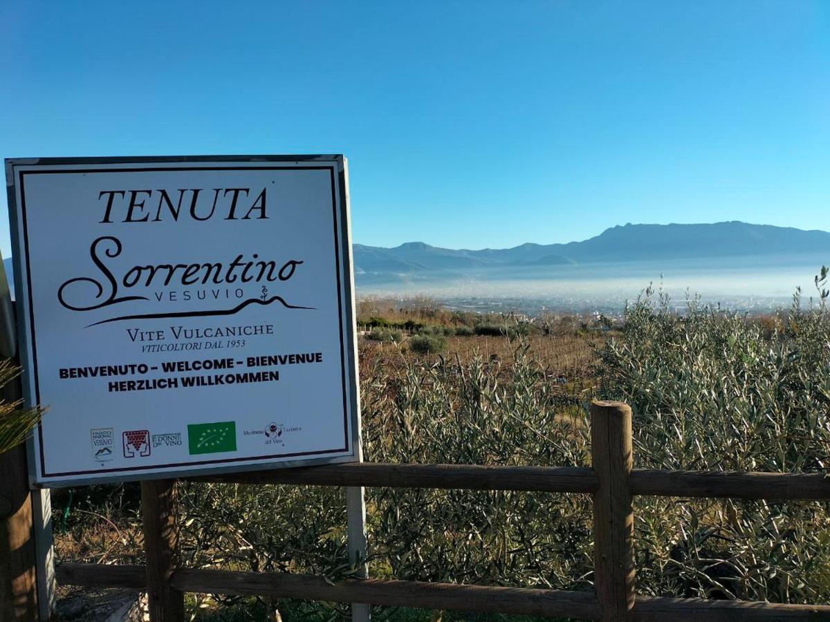 Agroturismo Vesuvio Bed & Wine Experience