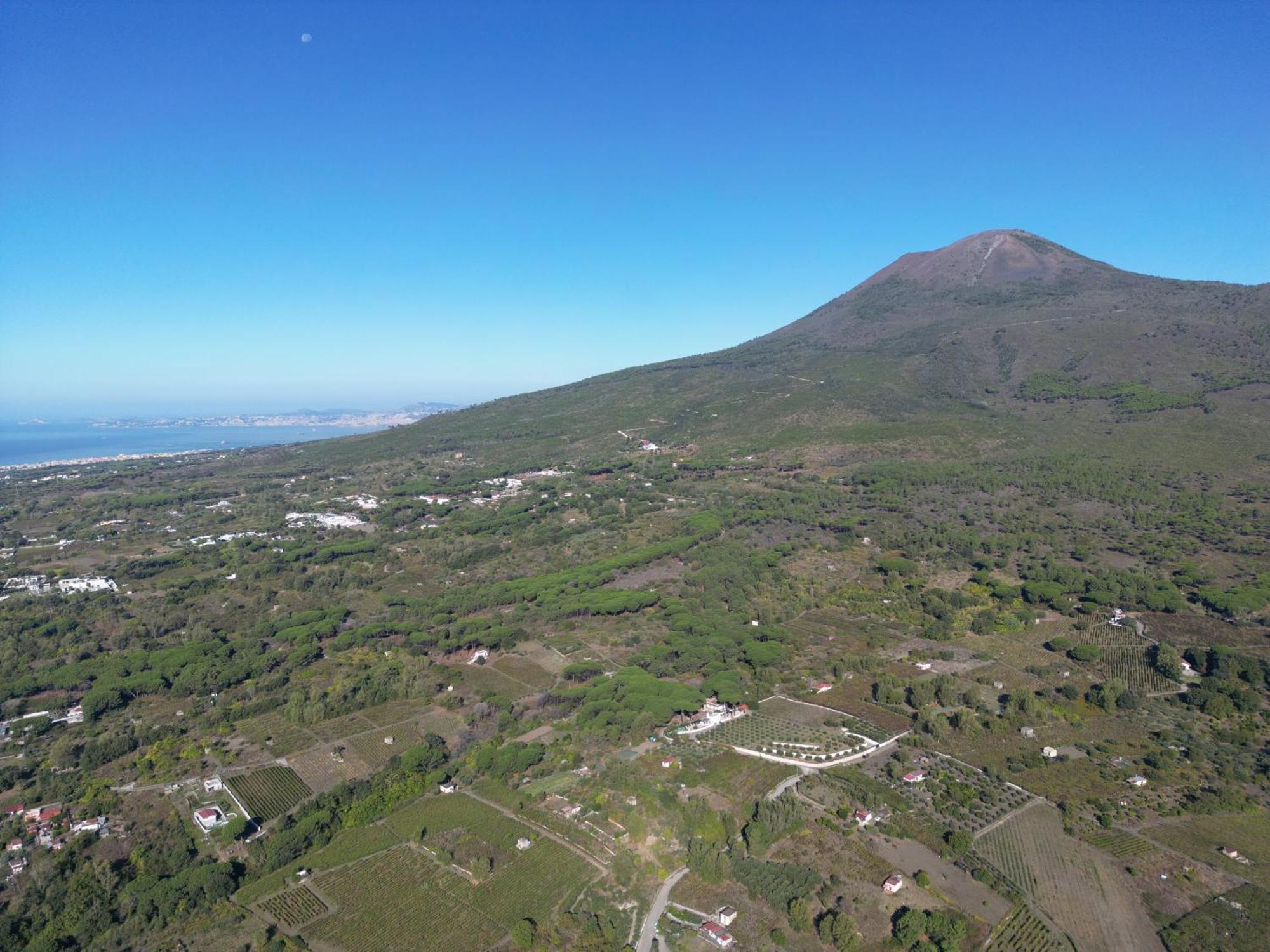 Vesuvio Bed & Wine Experience Boscotrecase