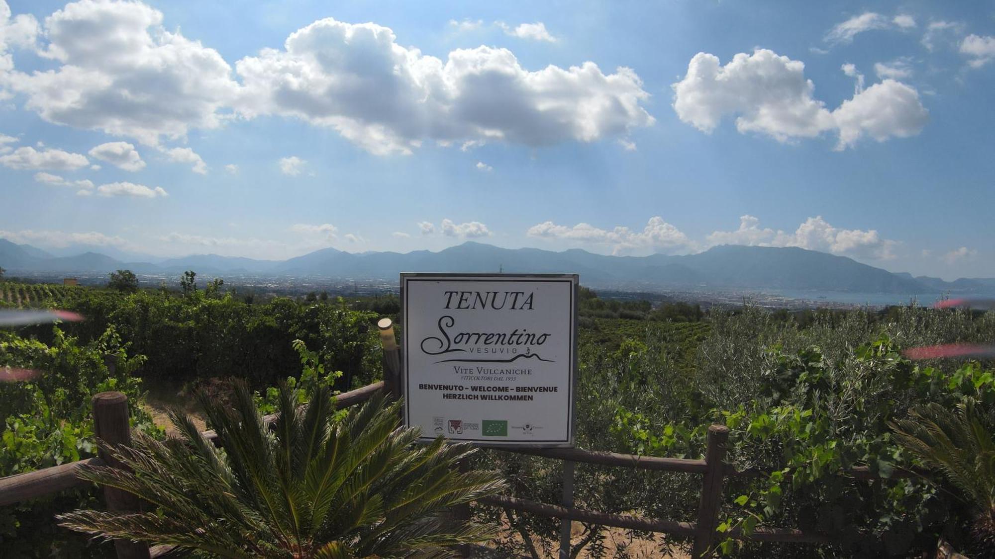 Vesuvio Bed & Wine Experience * Boscotrecase