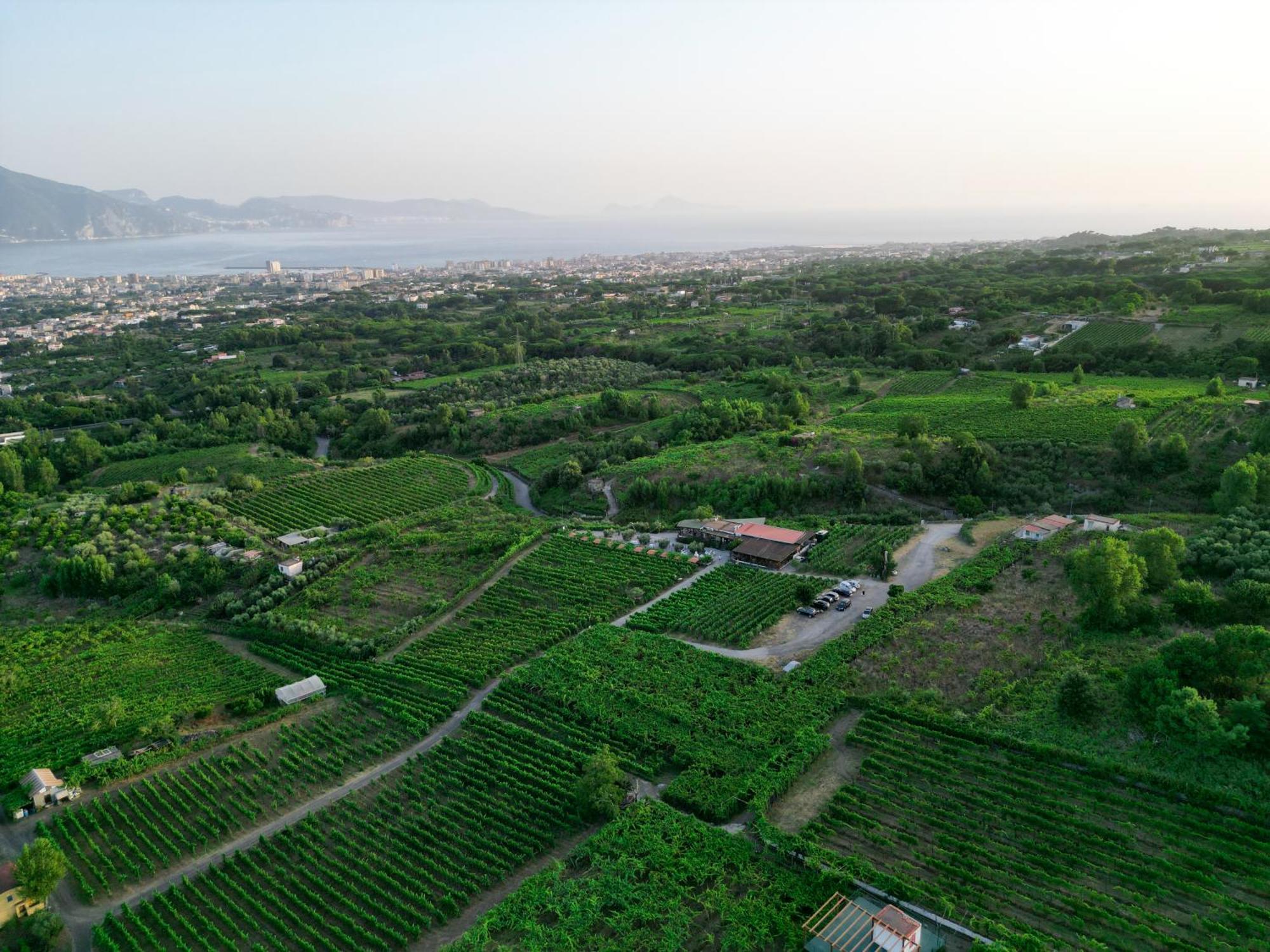 Vesuvio Bed & Wine Experience * Boscotrecase