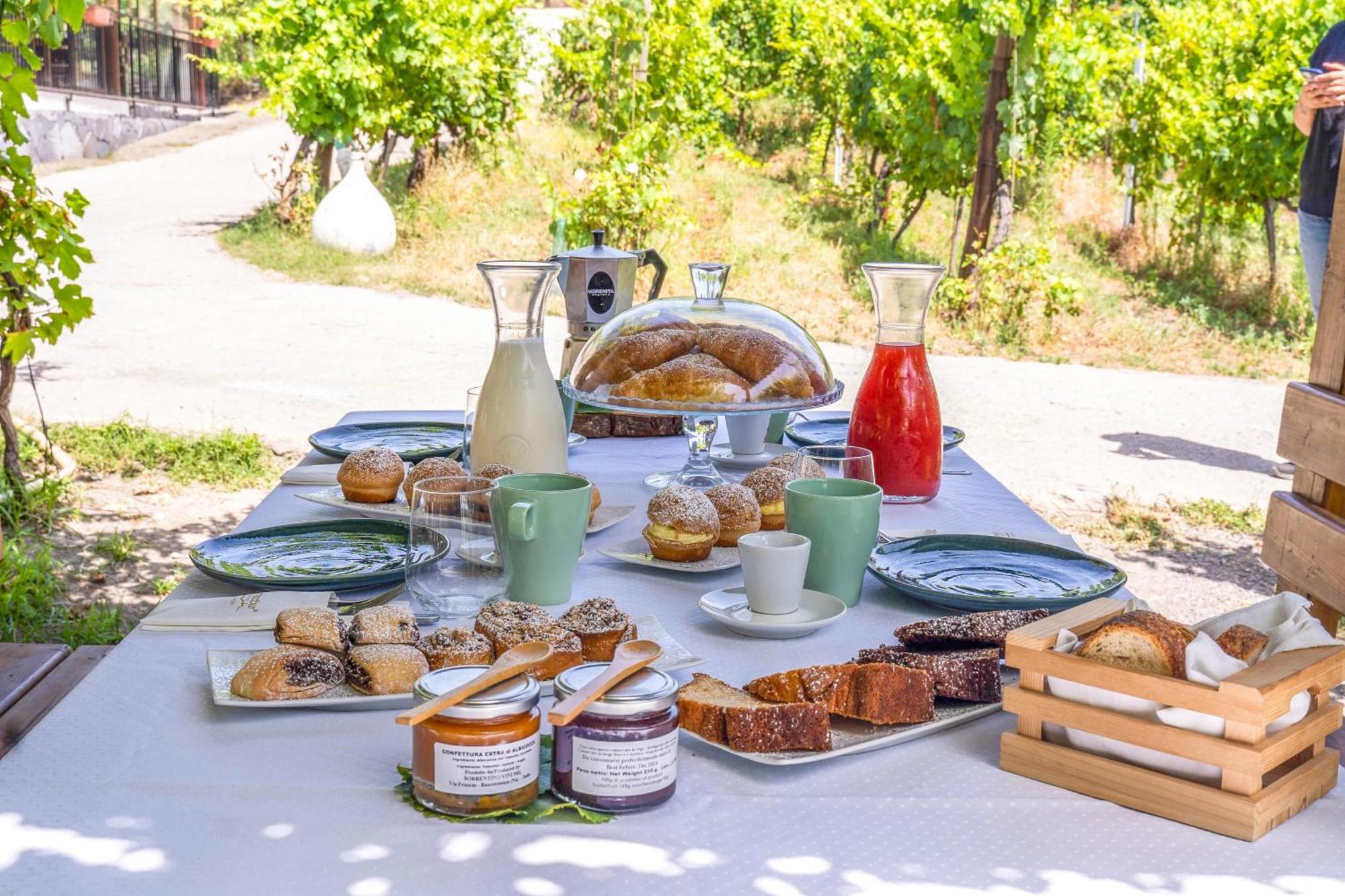 Agroturismo Vesuvio Bed & Wine Experience Boscotrecase