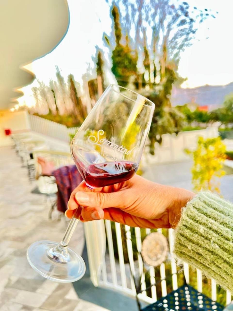 Vesuvio Bed & Wine Experience Alloggio per agriturismo