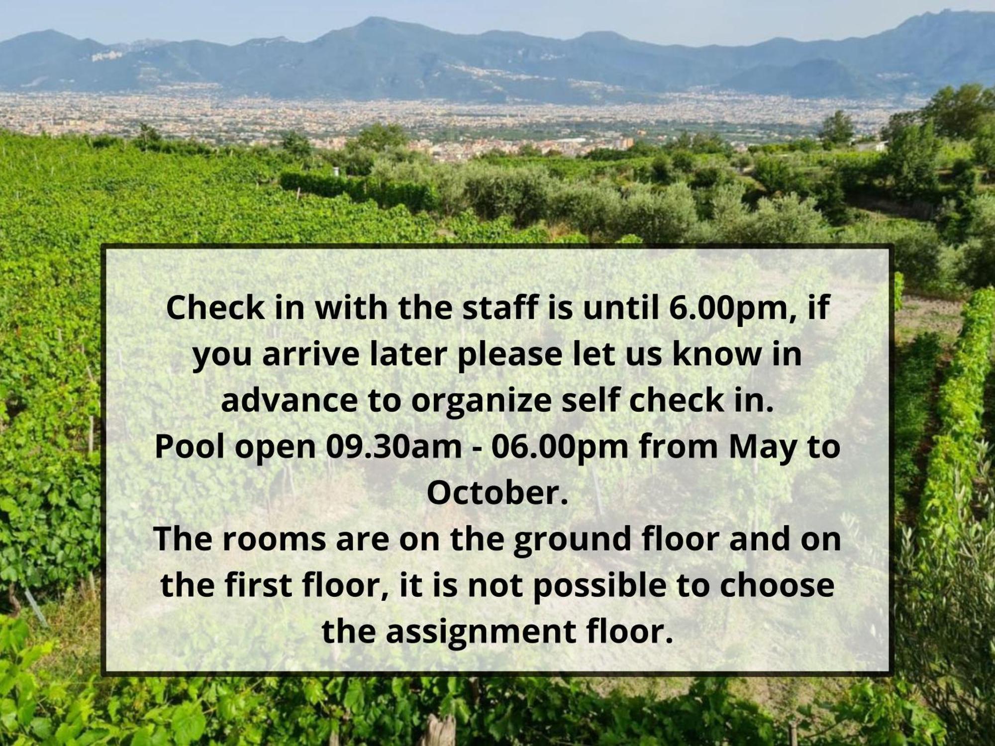 Vesuvio Bed & Wine Experience *