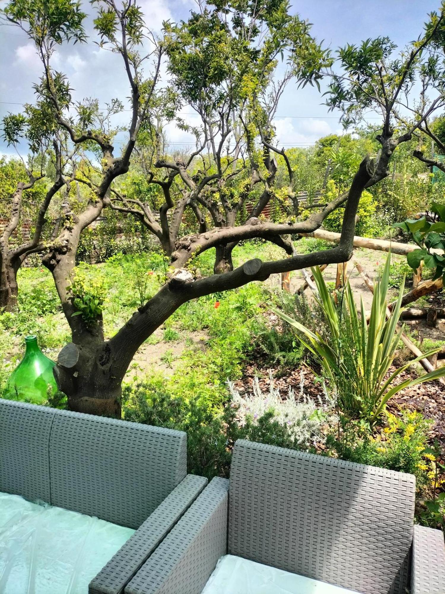Alloggio per agriturismo Vesuvio Bed & Wine Experience Boscotrecase