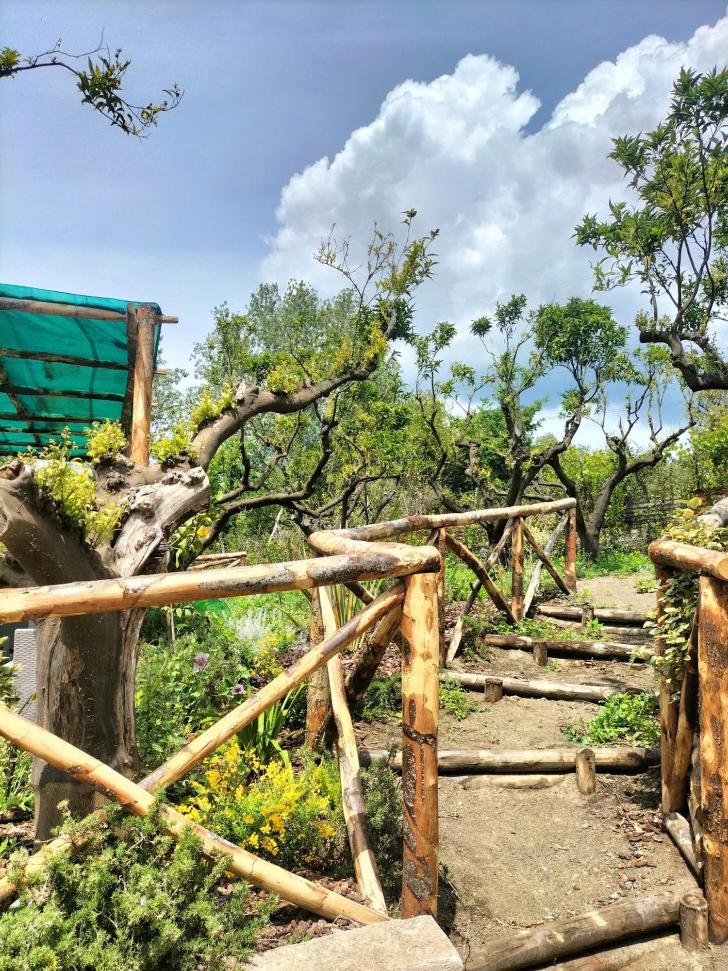 Vesuvio Bed & Wine Experience Boscotrecase