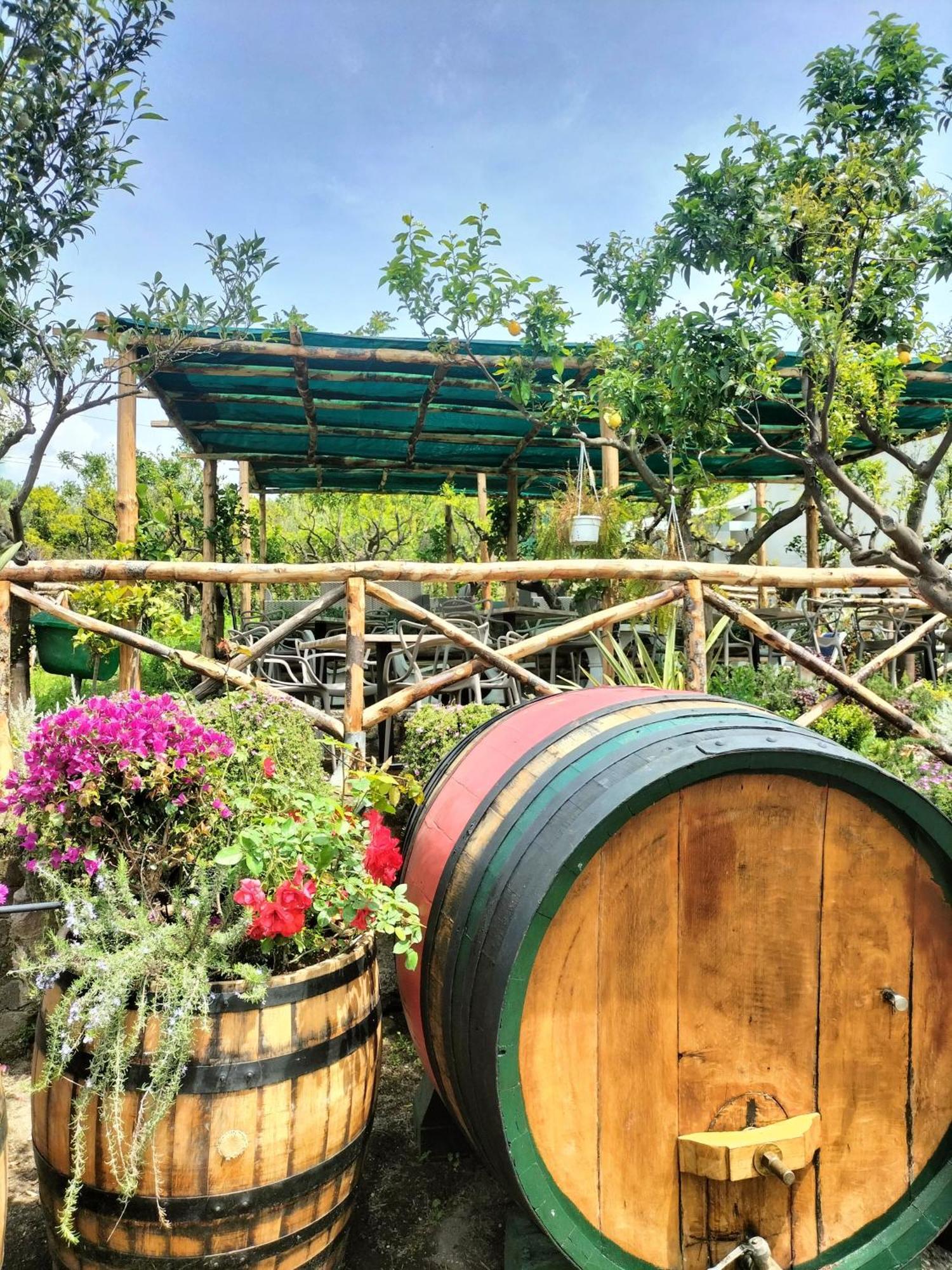 Vesuvio Bed & Wine Experience * Boscotrecase