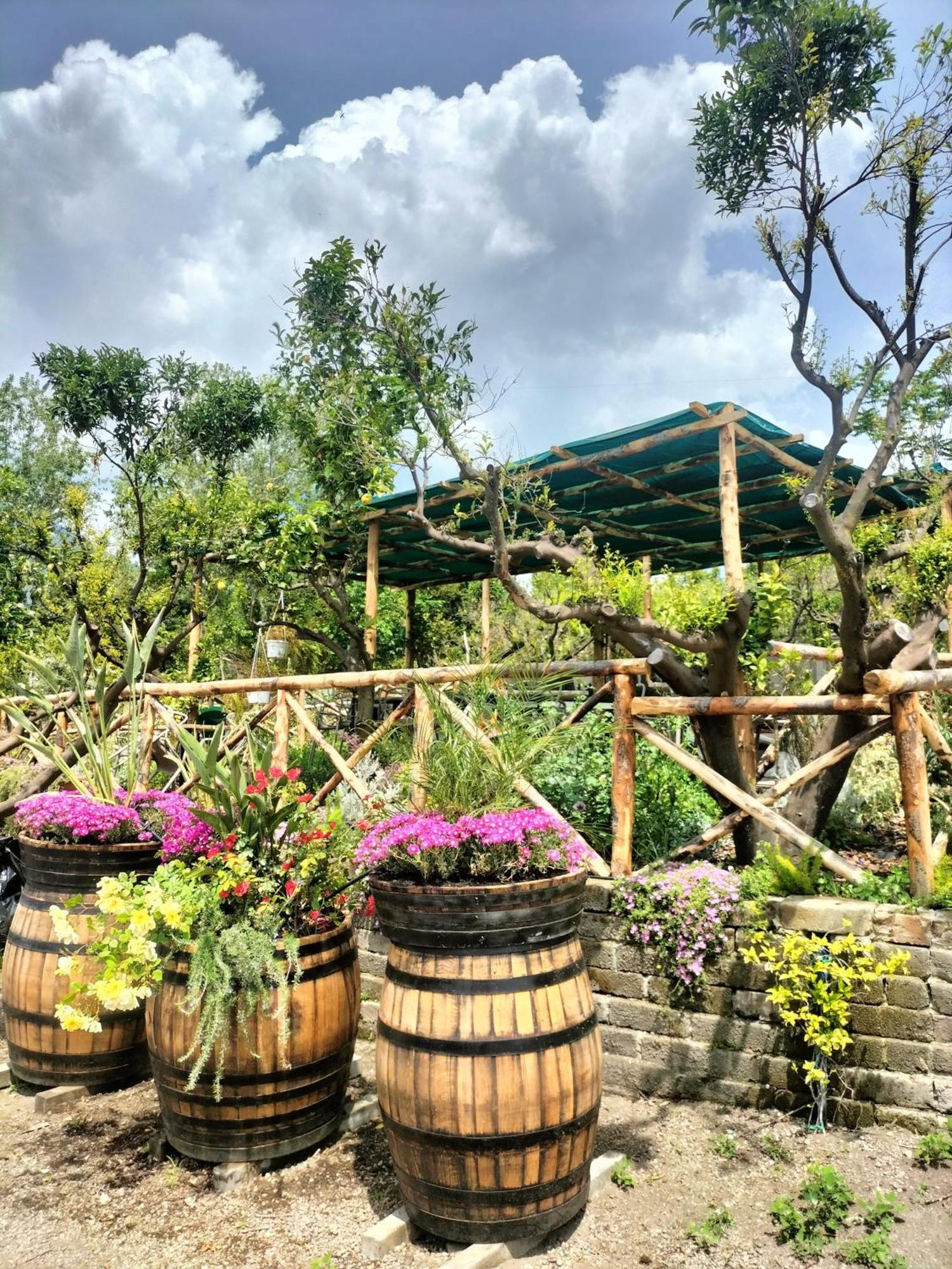 Alloggio per agriturismo Vesuvio Bed & Wine Experience *